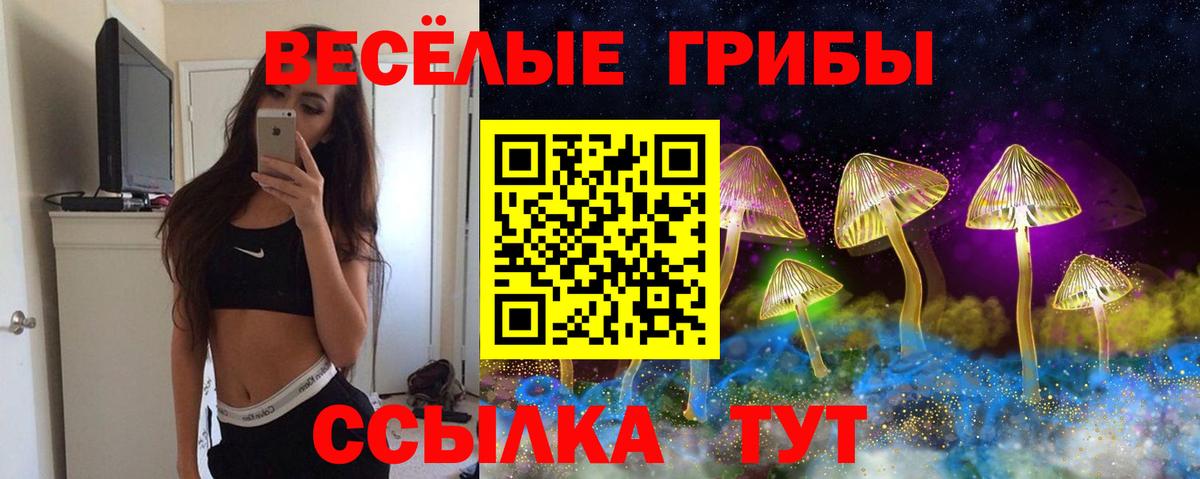 Псилоцибиновые грибы Cubensis  Вход с VPN  Моршанск  Галлюциногенные грибы прущие грибы 