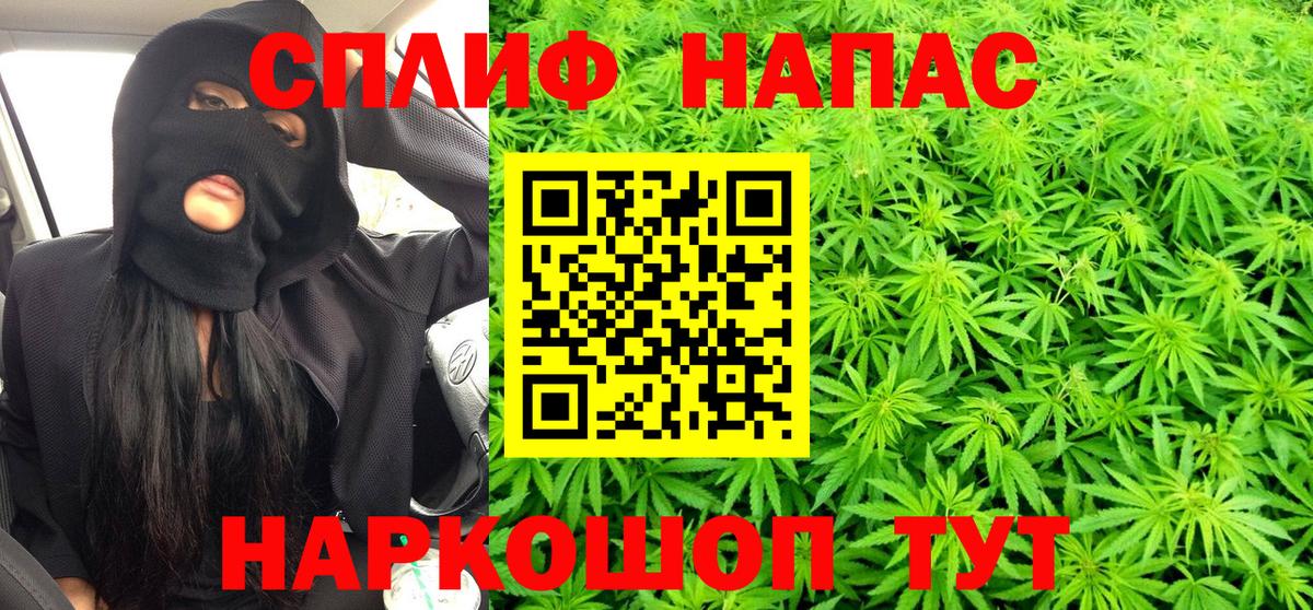 Шишки марихуана планчик  Шишки марихуана конопля  Конопля сатива  Моршанск  Вход с VPN 